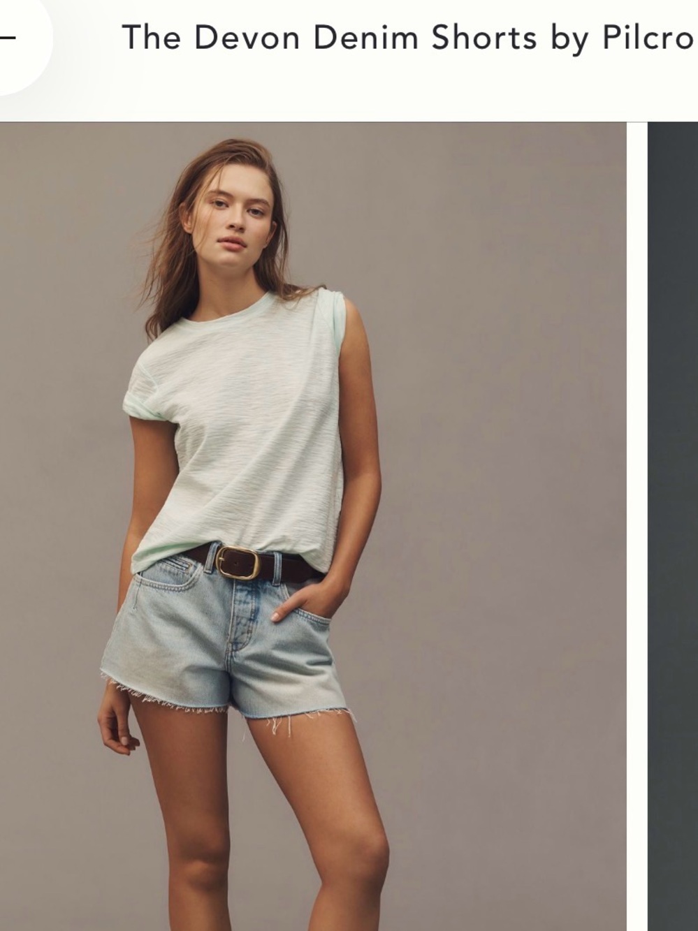 NWT Denim Devon Shorts by Pilcro 27P
